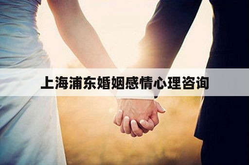 上海浦东婚姻感情心理咨询