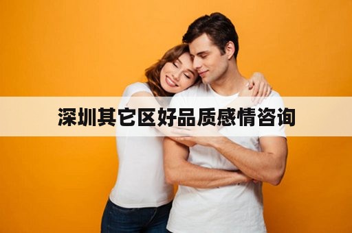 深圳其它区好品质感情咨询