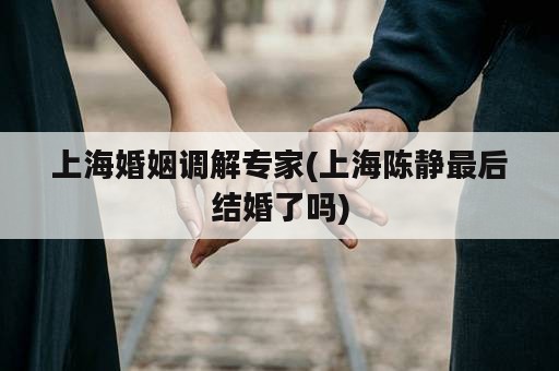上海婚姻调解专家(上海陈静最后结婚了吗)