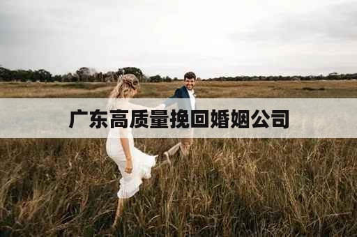 广东高质量挽回婚姻公司